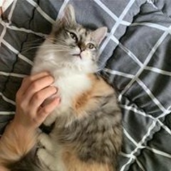 유진이
