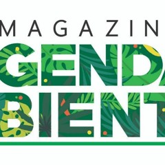Magazín Agenda Ambiental
