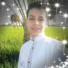 بيبو الديب