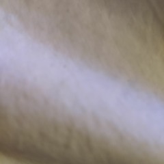 SarahFade14