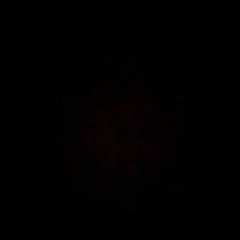 あや やん