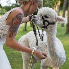 ♥ alpaka-techno-lover ♥