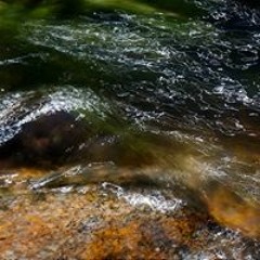 Николай Колев