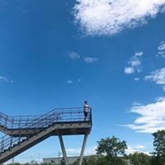 劉子麒