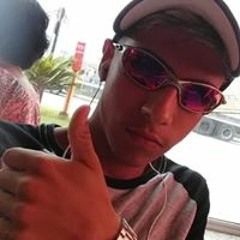 vini