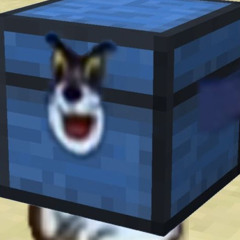 User 9141588