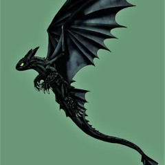 nightfury123