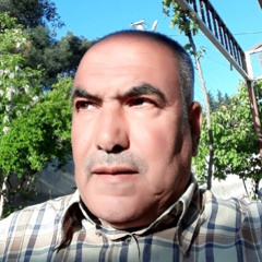 ŞAMİL KOCAREYİS