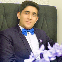 Hassan ameer