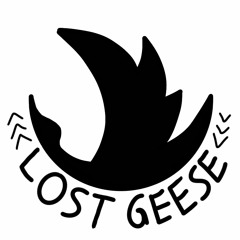 Lost Geese