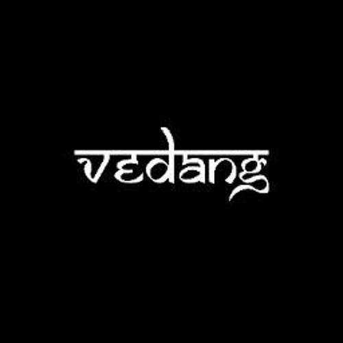 vedang’s avatar