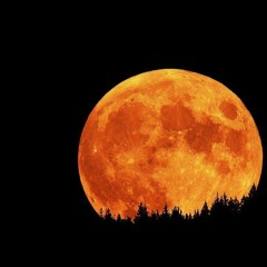 Lunar
