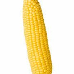 XXXX