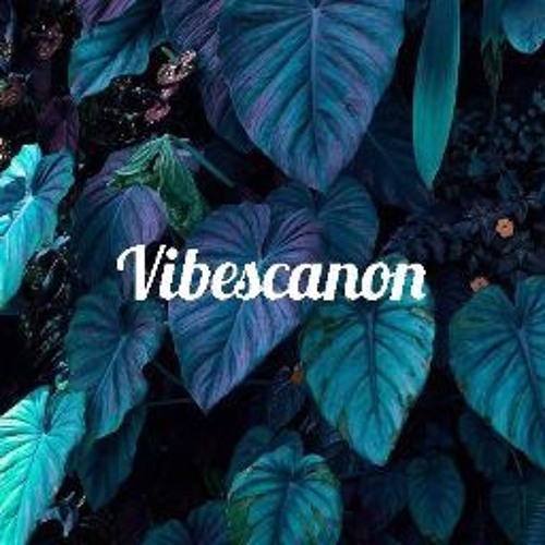 Vibescanon’s avatar