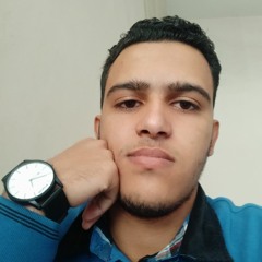 Mahmoud Alaa Abo Riah