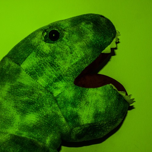 Volunteer Dinosaur’s avatar