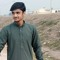 zadi