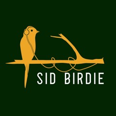 Sid Birdie