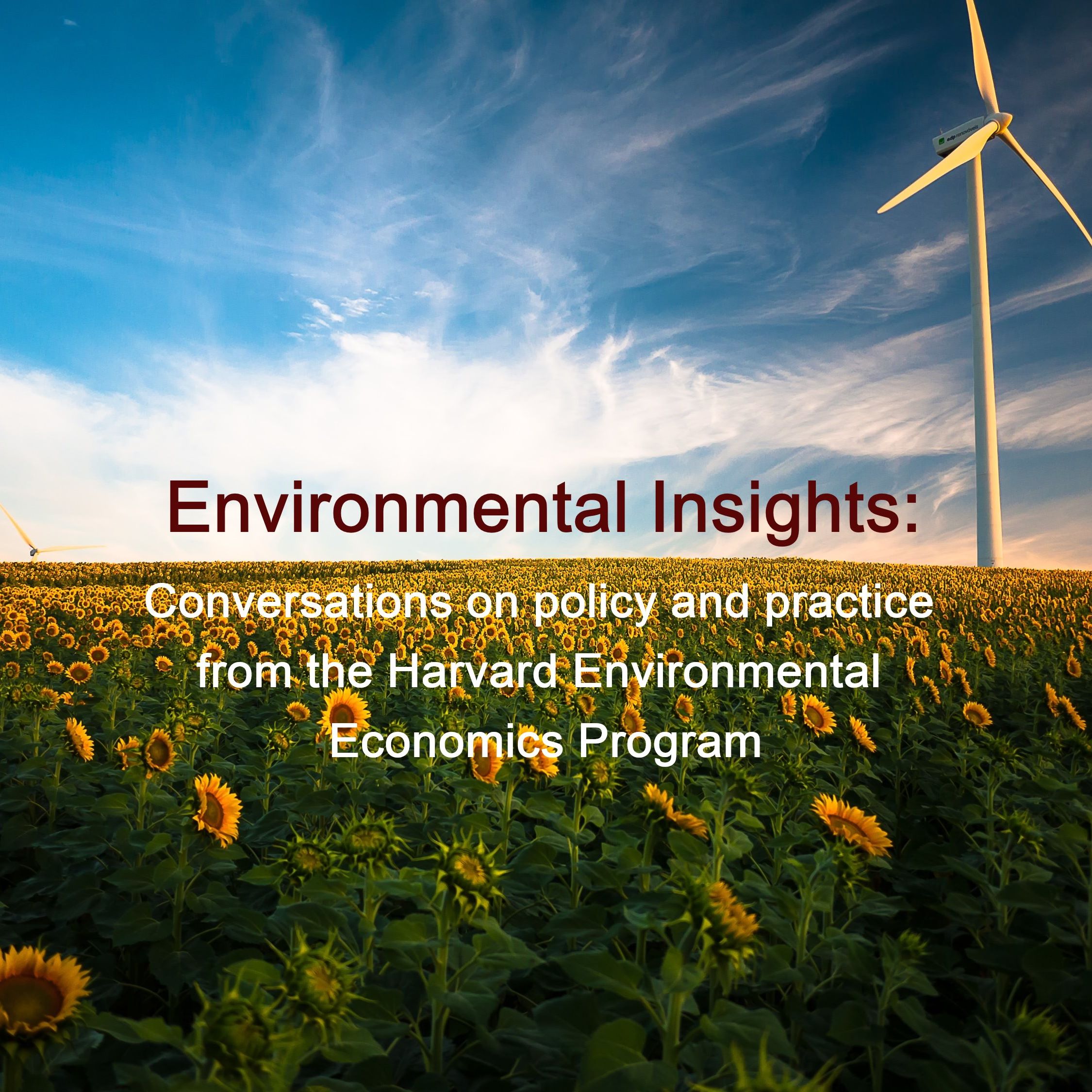 Environmental Insights: Conversations on policy and practice from the Harvard Environmental Economic