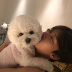 꽃센