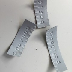 petit bourgeois sauvage :)