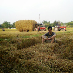 sơn lưu