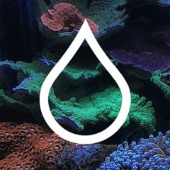 ＡＱＵＡＲＩＵＭ