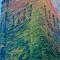 treeJ