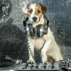 briandoggglezbeats