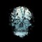 Skull.a
