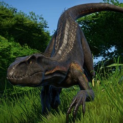 Indorapter