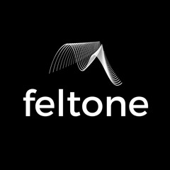 Feltone Music Group