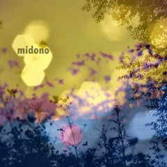 Midono