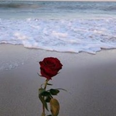 ياسمين علاء