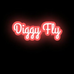 Diggy Fly