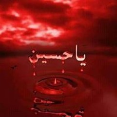 Syed Mustajab Hassan