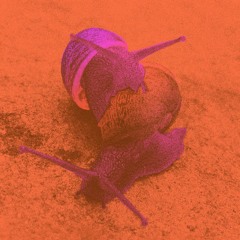 Karacool
