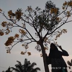 supandri