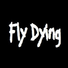 fly Dying