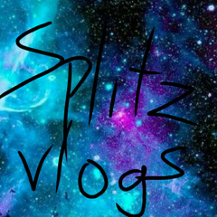 Splitz Vlogs