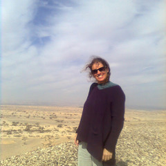 sigal biran