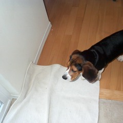 Rave Couture: B-Sides