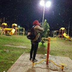 elfierroentu$ien
