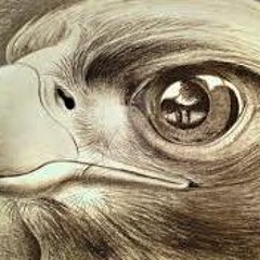 Zelmona Schrader-Arellano