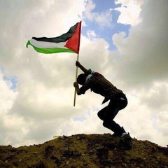 Mohammed Sha'ban