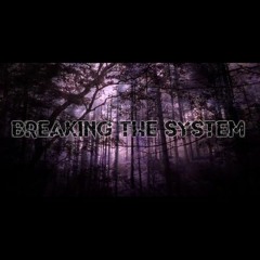 breakingthesystem