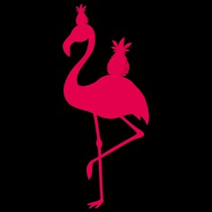 HANDSOME FLAMINGO RECORDS