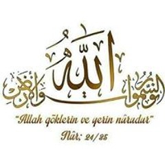 Cemile Istek Asil