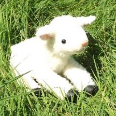 lambmayo
