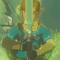 ZeldaMaster64